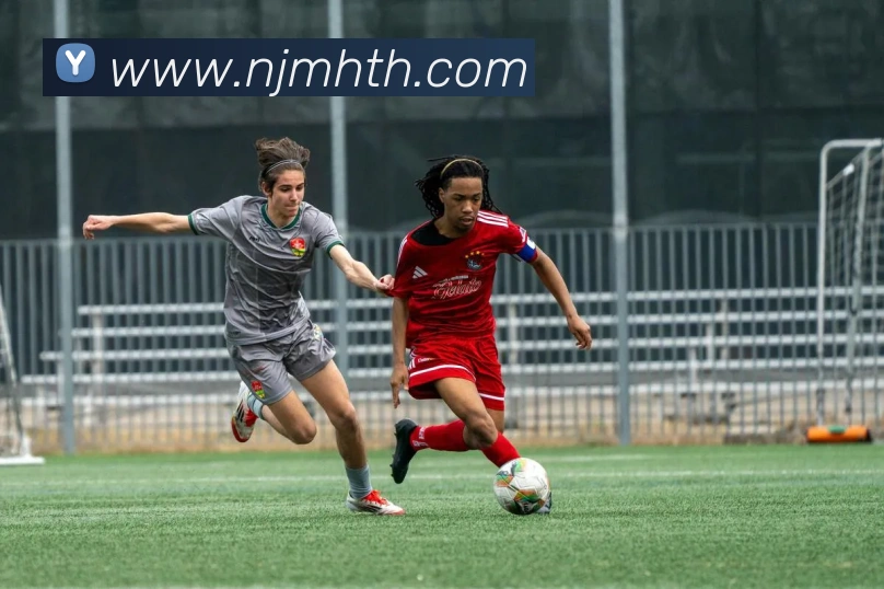 开云手机入口注册平台生态图